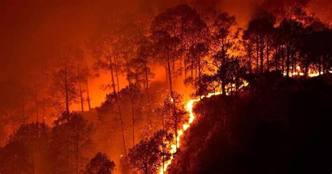 Extreme Wildfires Have Intensified The Release Of Carbon Stored In