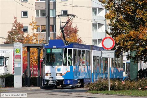 Deutschland Stra Enbahn Cottbus Triebwagen