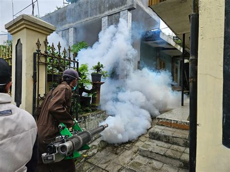 3 Orang Meninggal Karena DBD Dinkes Batu Lakukan Fogging Berantas