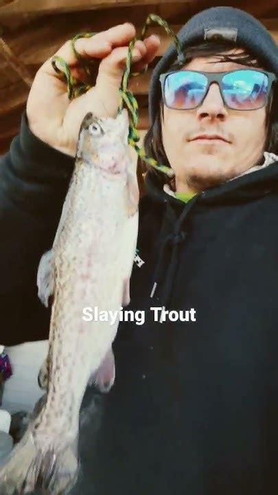 Spring River Rainbow Trout Catch Clean Cook Youtube