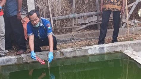 Terulang Lagi Balita Di Tulungagung Tewas Tenggelam Di Kolam Ikan