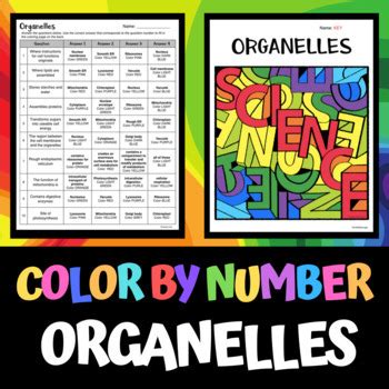 Cell Organelles Color By Number By Laney Lee Tpt