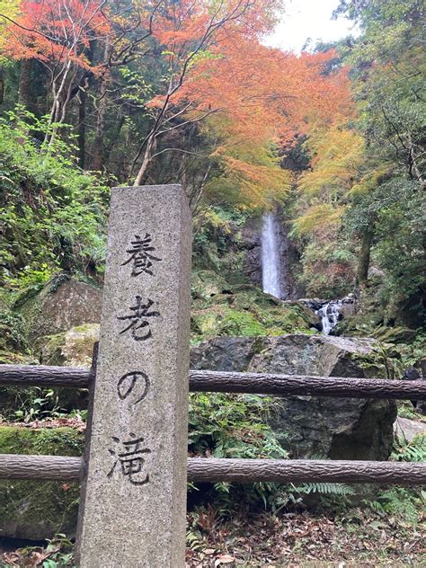 【養老の滝】岐阜県養老郡養老町にある養老公園で紅葉散策してきた ぎふのススメ