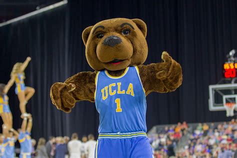 Ucla Basketball Mascot Name