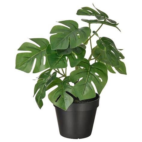 Fejka Artificial Potted Plant Inoutdoor Monstera 12 Cm Ikea