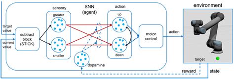 Detailed View Of The Architecture Of The Spiking Neural Network