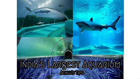 Marine World Chavakkad India s Largest Aquarium ഇനതയയല ഏററവ