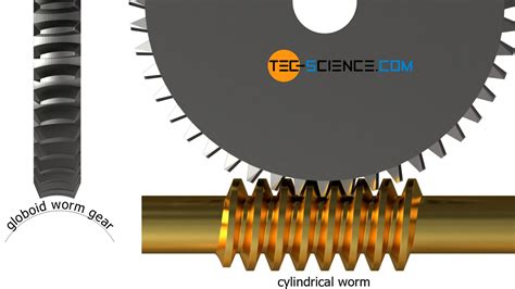 Worm Gear Modulus 0 5 60 Teeth 3d Drawing Kovach Blegame