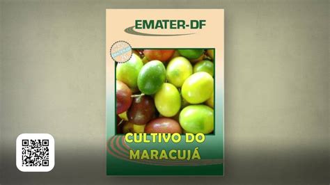 Saiba Como Plantar Maracuj Globo Rural G