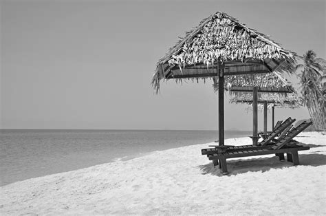 Premium Photo Lounge Chairs Below Thatched Roof Parasols On Shore