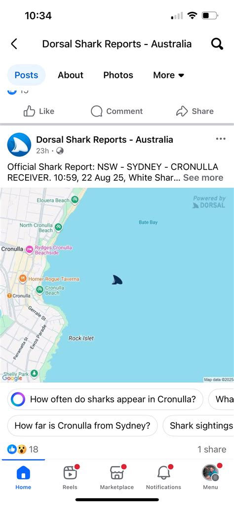 Aussie shark attack hotspots: Tips to reduce risk | Herald Sun