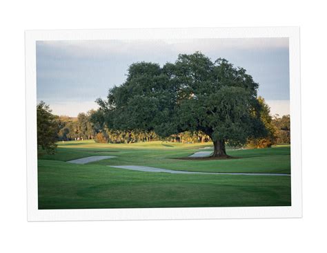 Overlooked No More: Joseph Bartholomew, Golf Course Architect - The New