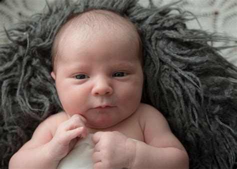 Baby Isla • Birds Egg Photography Birdseggca Spruce Grove Newborn
