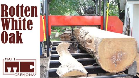 Sawing A Rotted Out White Oak On My Homemade Sawmill YouTube