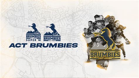 Brumbies | News | Jersey | Game | Brumbies