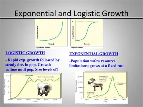 Ppt Population Ecology Powerpoint Presentation Free Download Id