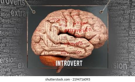introvert human brain dozens important terms stock illustration
