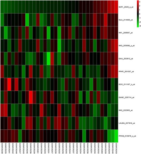 A Heatmap Showing The Genes That Are Positively Or Negatively Download Scientific Diagram