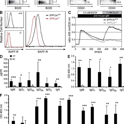 B Cell Maturation Pathways And B Cell Function Are Impaired In Sppl2a