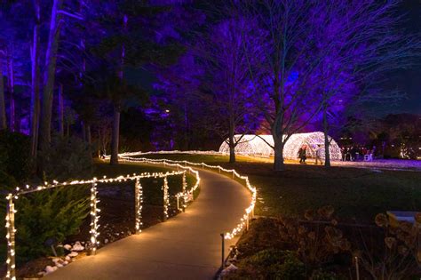 Enchanted winter wonderland with 1.5 km of lights opens near Toronto ...