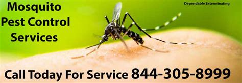 Mosquitoes Exterminator Mosquito Pest Control Mosquitoes