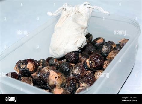 Sapindus Mukorossi Or Indian Soapberry Many Soap Nuts And Cotton Bag Ready To Be Used