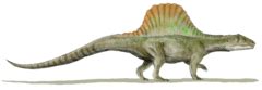 Category:Arizonasaurus - Wikimedia Commons