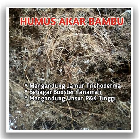 Jual Humus Akar Bambu Media Tanam Premium Untuk Booster Pertumbuhan