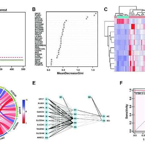 Random Forest Screening Of Genes And Construction Of Neural Networks