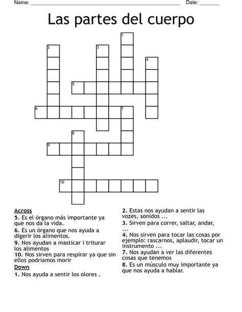 Las Partes Del Cuerpo Crossword WordMint