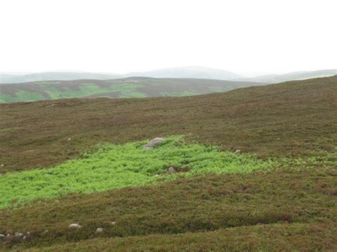 Moorland West Of Harbottle Lake Mike Quinn Cc By Sa 2 0 Geograph