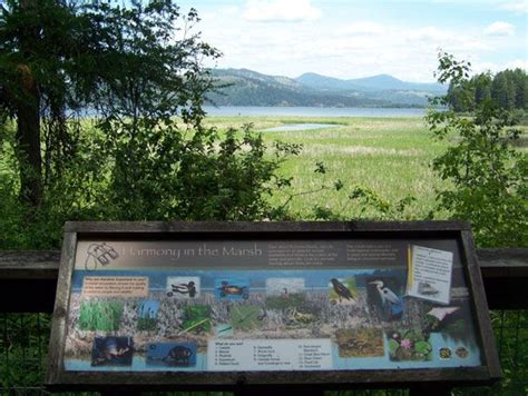 Plummer Marsh, Heyburn State Park, Plummer, Idaho. #roadsideattractions ...