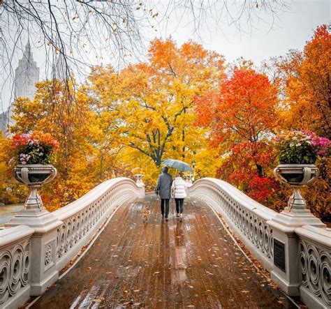 New York City Fall Foliage 2024 Predictions - Lolly Rachele