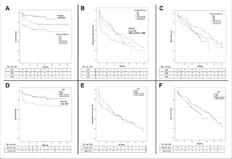 Figure 1 From An Endovascular First Approach To The Treatment Of Critical Limb Ischemia Results