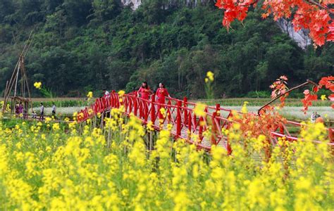 Thung Lũng Hoa Bắc Sơn Khám Phá Cảnh đẹp Nên Thơ Nơi Vùng Núi