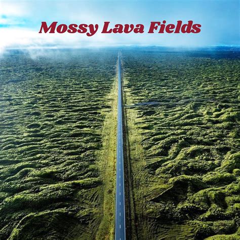 Mossy lava fields