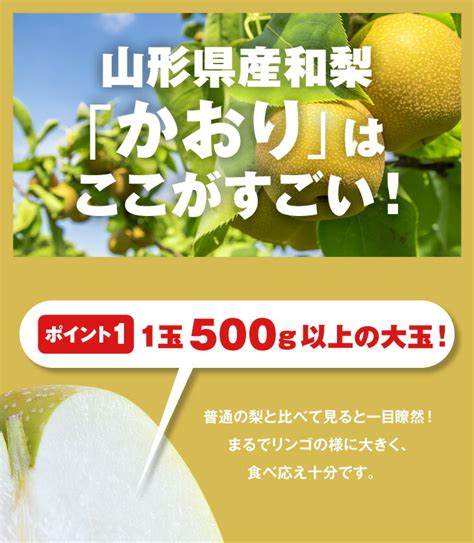 【楽天市場】【早期予約】贈答用秀品 山形県産和梨かおり梨約5kg ※一部地域は別途送料追加 Wn06：てんどうフーズうまいもの通販