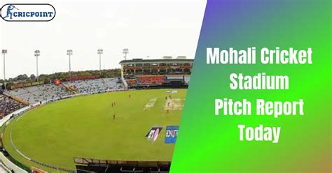 Mohali Cricket Stadium Pitch Report December 28, 2024