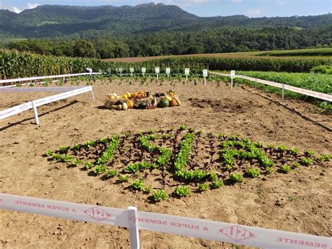 Isla Apresenta Novidades No Dia De Campo Cravil Canal Do Horticultor