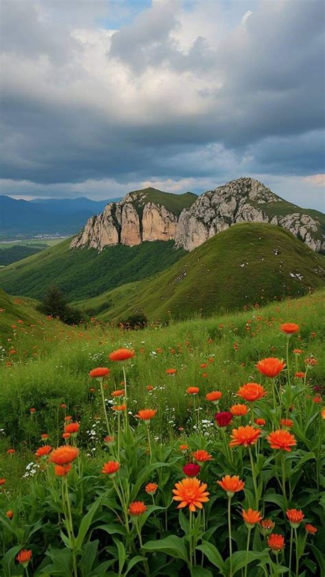 Pin De Ne At Ar C Em Ful Ortaya Kari Ik Lindas Paisagens