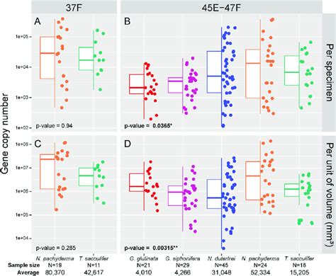 Gene Copy Number For The Gene Markers F And E F Box Plot And