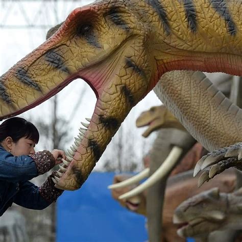 Dinosaurs Come To Life In Chinas Jurassic Park