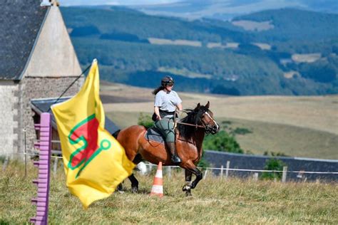 Terroir Auvergnat Et Burons Les Foires De Brion C Est Toujours