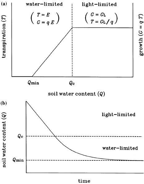 A Schematic Relationship Between Transpiration T Growth G