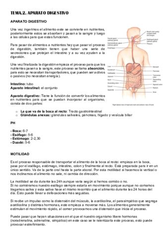 TEMA 2 Fisio Pdf