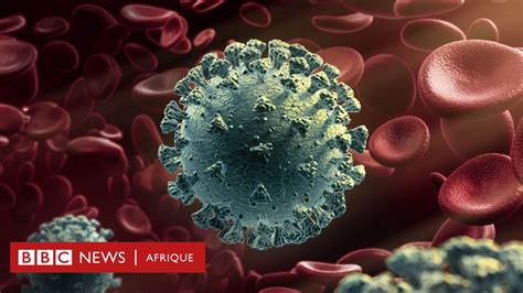 Nouvelle Variante Du Coronavirus Qu En Savons Nous BBC News Afrique