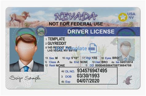 Editable Nevada Drivers License Template