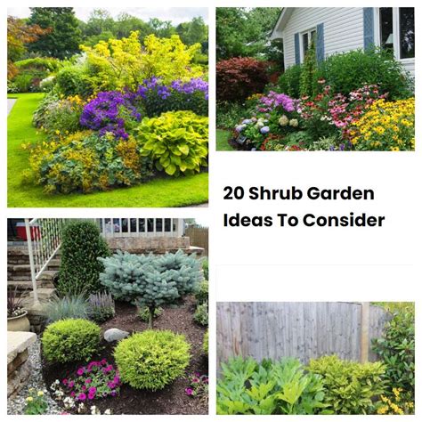 20 Shrub Garden Ideas To Consider Sharonsable