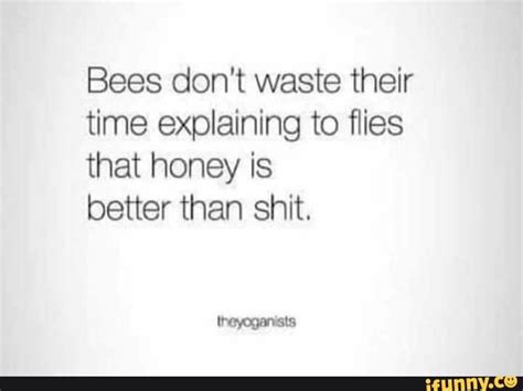 Bees Don T Waste Their Time Explaining To Flies That Honey Is Better