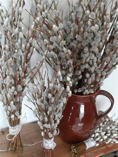 Willow Pussy Bouquet Natural Pussy Spring Bunch Willow Etsy